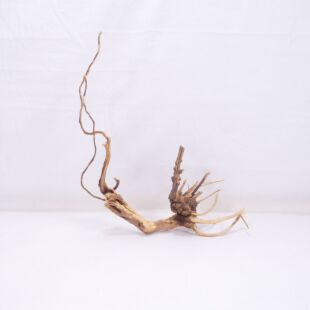 Raíz Light Wood pequeña para decorar acuarios en tienda.pzes online, todo lo que tu acuario necesita.
