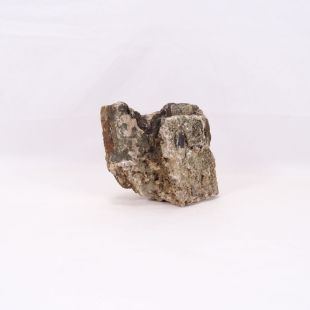 Comprar rocas madera fósil-petrificada para acuario en tienda online especializada peces, acuarios, hardscape, aquascaping-