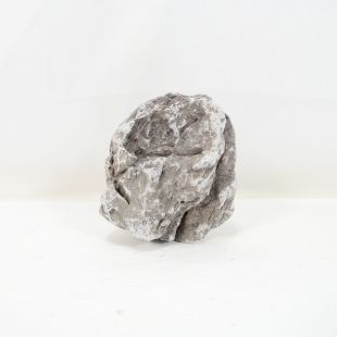 Roca Amano (Seiryu/Ryouh) para decorar acuarios en tienda online pzes Alcorcón: el mejor hardscape con envíos seguros y animales sanos.