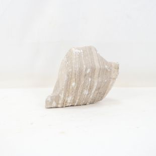 roca Gobi decorar acuarios; roca color claro hardscape