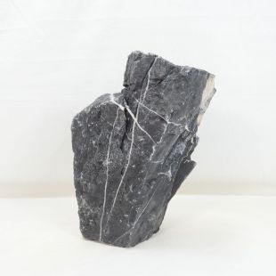Roca Amano negra mediana con surcos para decorar acuarios en tienda online peces y acuarios, Pzes Alcorcón.
