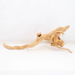 Comprar online raíz Roja tamaño mediano con varias ramificaciones para acuario en tienda Aquasistema Alcorcón, aquasistema.com