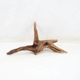 Comprar online madera cuerno mediana y alargada para acuario en tienda online Pzes Alcorcón