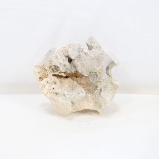 Comprar online piedra blanca rocalla para cíclidos africanos acuarios agua dulce.