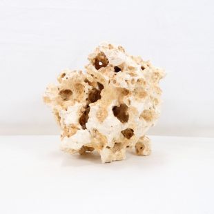 Comprar online piedra blanca rocalla para cíclidos africanos acuarios agua dulce.