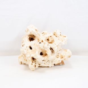 Comprar online piedra blanca rocalla para cíclidos africanos acuarios agua dulce.