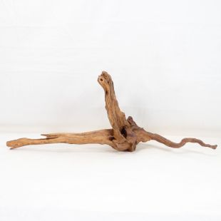 Comprar online madera cuerno mediana y alargada para acuario en tienda online Pzes Alcorcón
