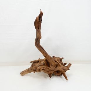 Comprar online madera cuerno mediana y alargada para acuario en tienda online Pzes Alcorcón