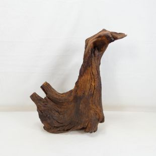 Comprar online madera cuerno mediana y alargada para acuario en tienda online Pzes Alcorcón