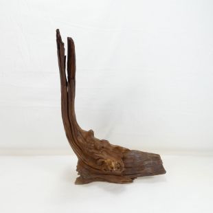 Comprar online madera cuerno mediana y alargada para acuario en tienda online Pzes Alcorcón
