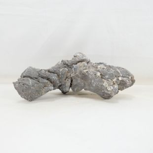 Roca Amano (Seiryu/Ryouh) para decorar acuarios en tienda online aquasistema Alcorcón: el mejor hardscape con envíos seguros y animales sanos.