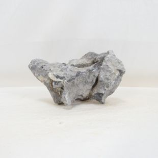 Roca Amano (Seiryu/Ryouh) para decorar acuarios en tienda online aquasistema Alcorcón: el mejor hardscape con envíos seguros y animales sanos.