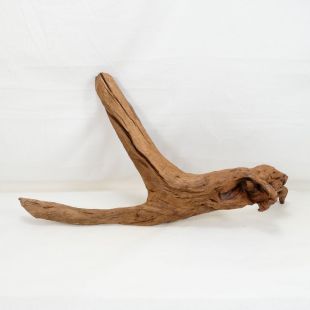 Comprar online madera cuerno mediana y alargada para acuario en tienda online Pzes Alcorcón
