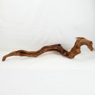 Comprar online madera cuerno mediana y alargada para acuario en tienda online Pzes Alcorcón