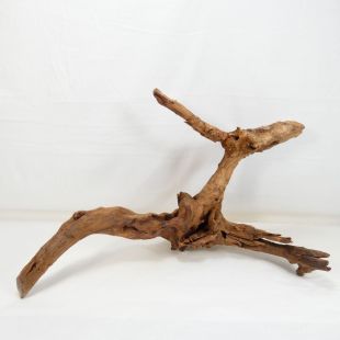 Comprar online madera cuerno grande para acuario en tienda online tienda peces Alcorcón