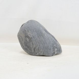 Roca Wild Rhino