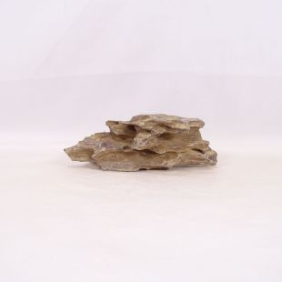 Roca dragón mediana redondeada con agujeros decoración natural acuarios en tienda Pzes Alcorcón.