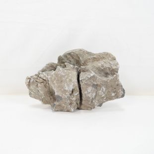 Roca Amano (Seiryu/Ryouh) para decorar acuarios en tienda online pzes Alcorcón: el mejor hardscape con envíos seguros y animales sanos.