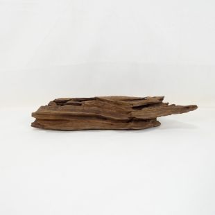 Comprar online madera dragón pequeña, bonita, decorativa y alargada con agujeros en tienda online de peces y acuarios especializada: Pzes Alcorcón.
