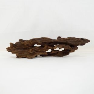 Comprar online madera dragón pequeña, bonita, decorativa y alargada con agujeros en tienda online de peces y acuarios especializada: Pzes Alcorcón.