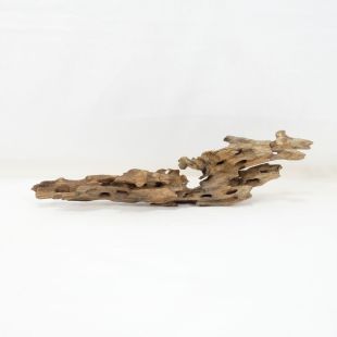Comprar online madera dragón pequeña, bonita, decorativa y alargada con agujeros en tienda online de peces y acuarios especializada: Pzes Alcorcón.