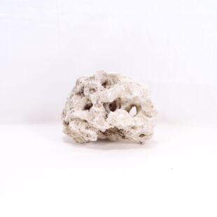 Comprar online en tienda Pzes Alcorcón rocas para acuarios con cíclidos africanos.