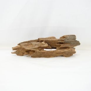 Comprar online madera dragón pequeña, bonita, decorativa y alargada con agujeros en tienda online de peces y acuarios especializada: Pzes Alcorcón.