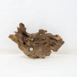 Madera Dragón para decorar acuarios en tienda.pzes.es: el mejor hardscape online para urnas y acuarios. Peces sanos, profesionalidad garantizada.