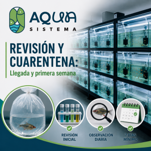 Pedido de peces con revisiones y cuarentena
