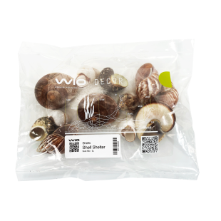conchas para acuario de conch&iacute;colas africanos, caracolas para acuario