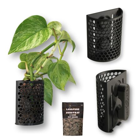 Soporte para plantas con fijación magnética Aquanetic 