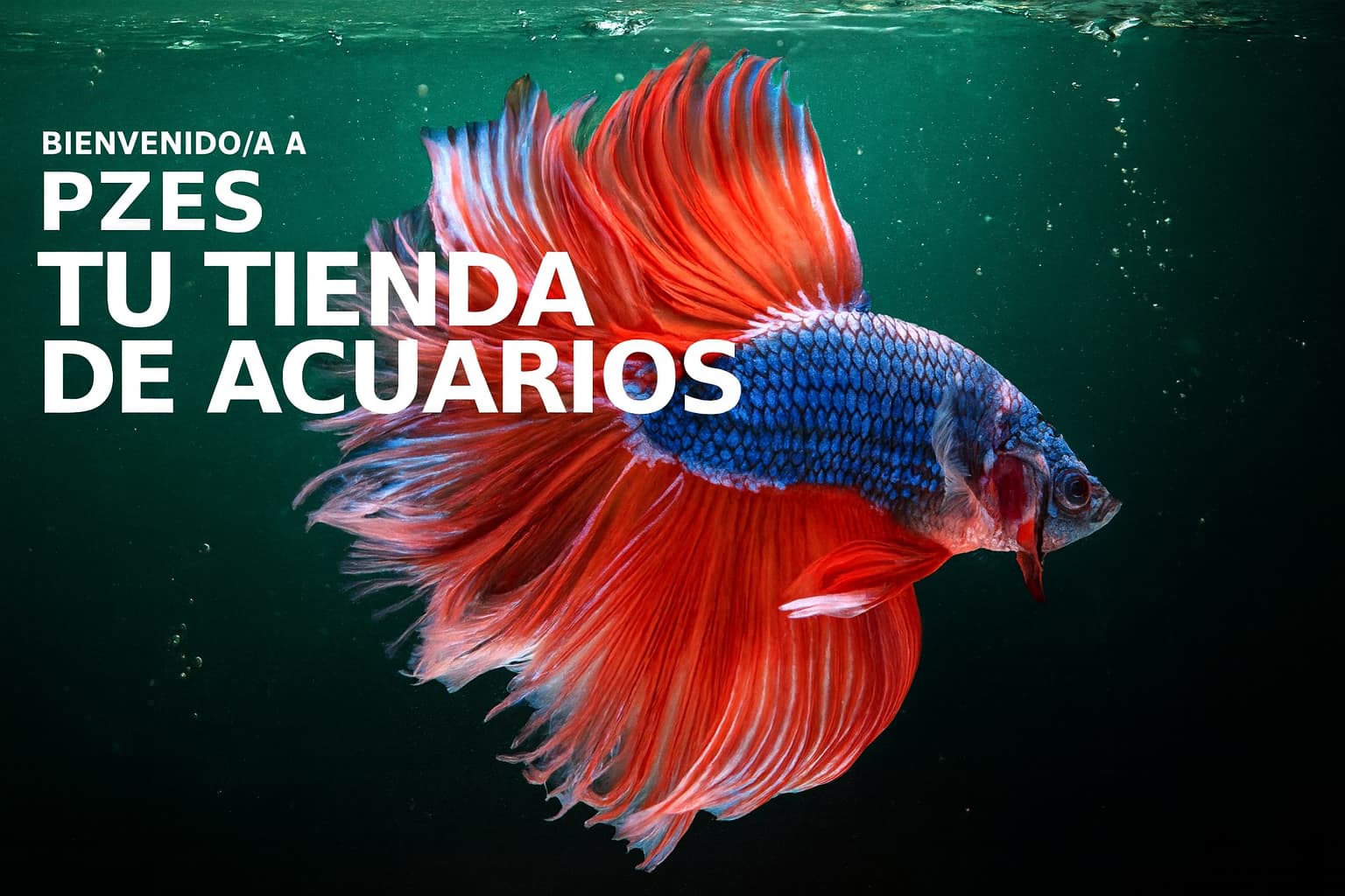 Tu tienda de peces en Alcorcón