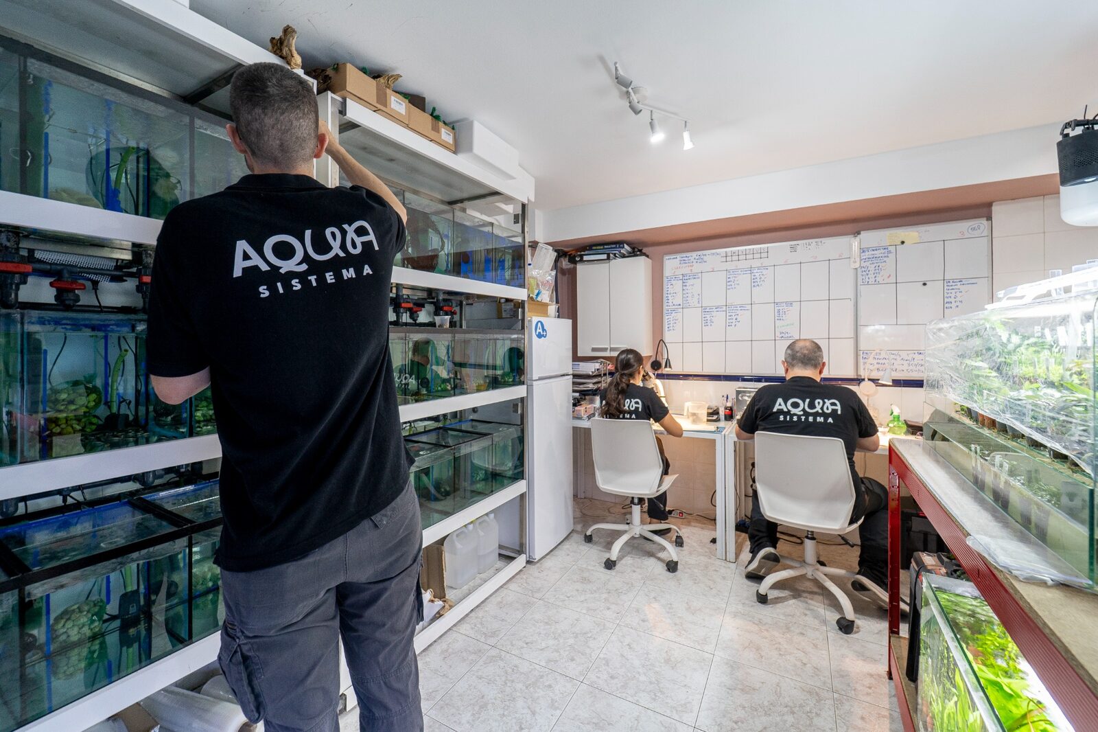 Equipo de Aquasistema trabajando en la sala de acuarios