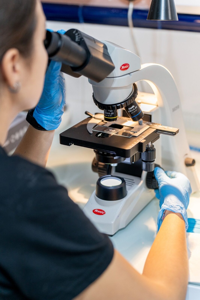 Revisión microscópica realizada por el equipo de Aquasistema