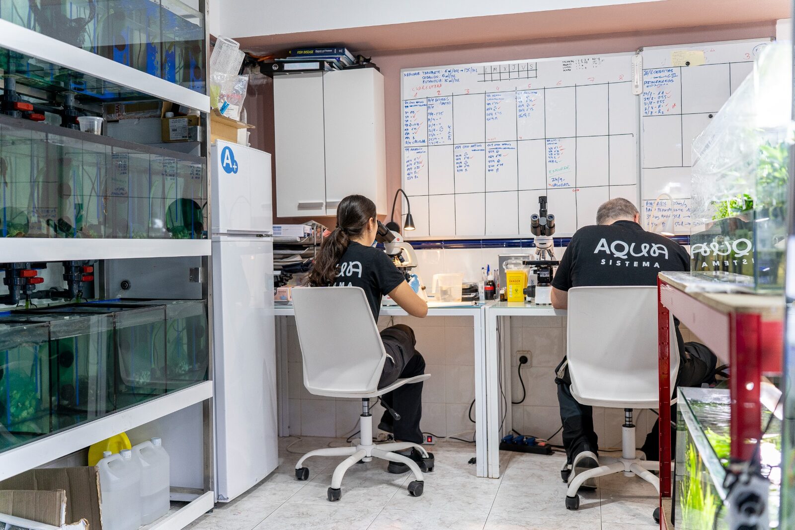 Equipo técnico de Aquasistema revisando y registrando los acuarios