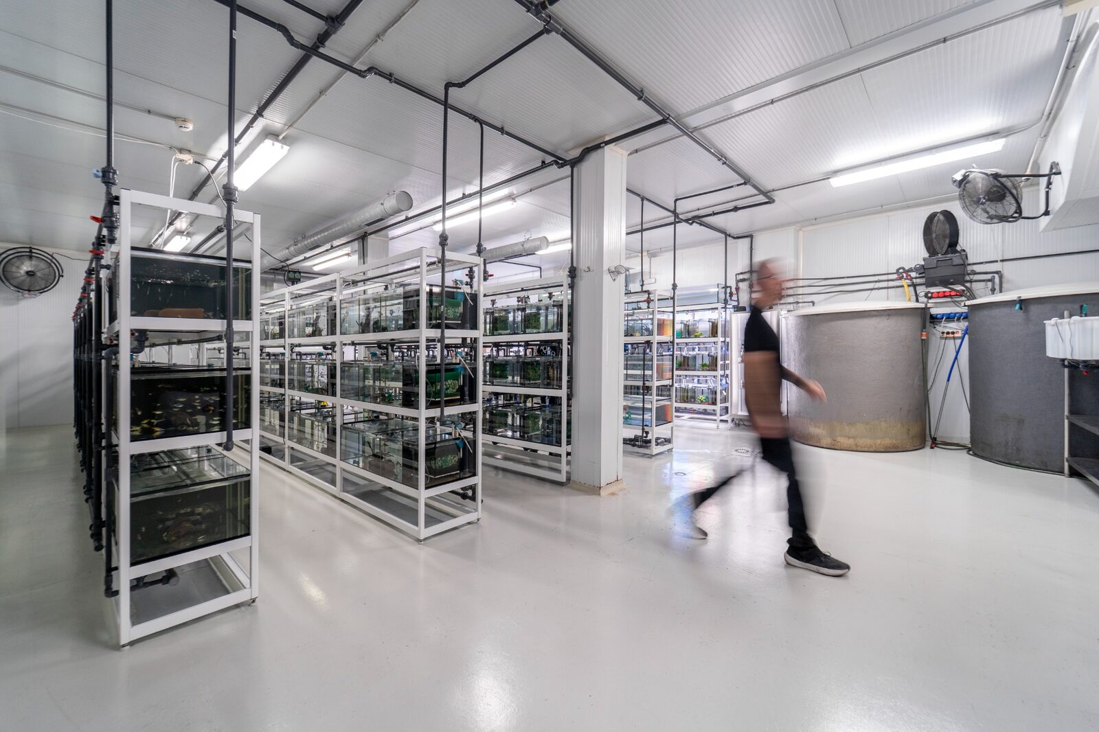 Instalaciones de mantenimiento y cuarentena de Aquasistema